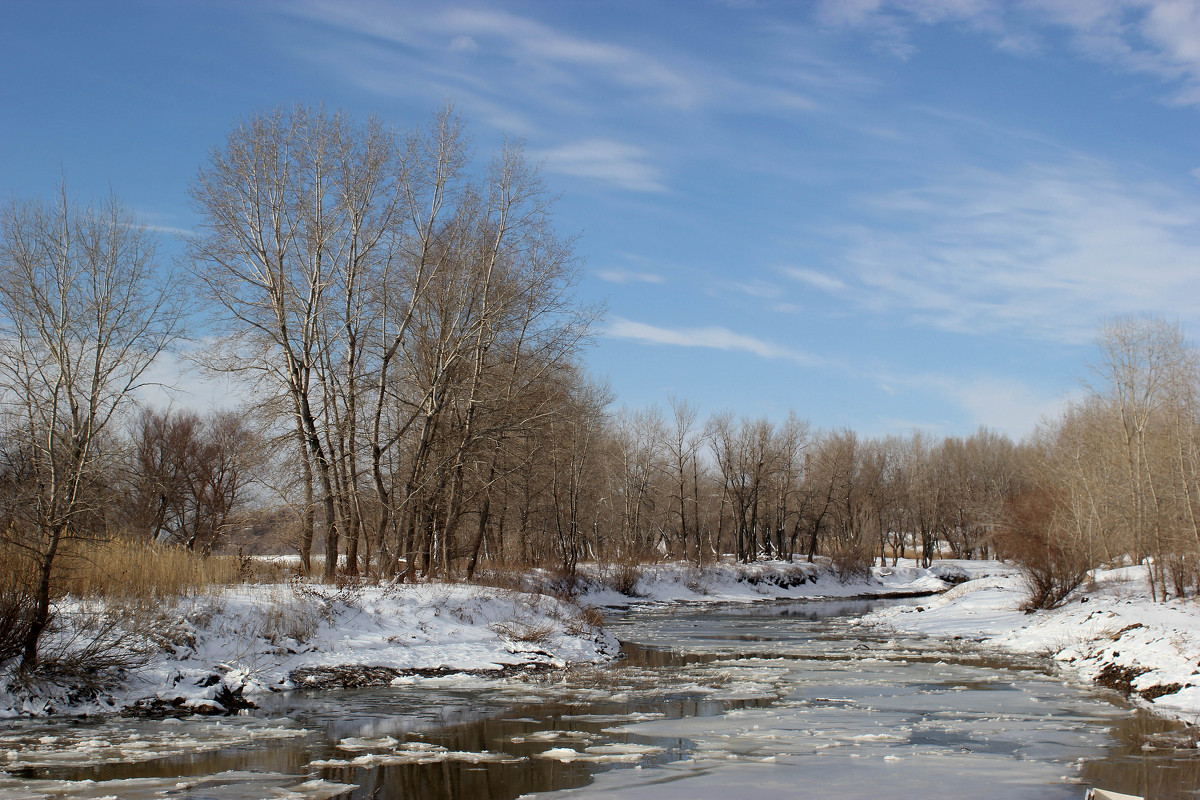 ☀Февраль на юге.☀
